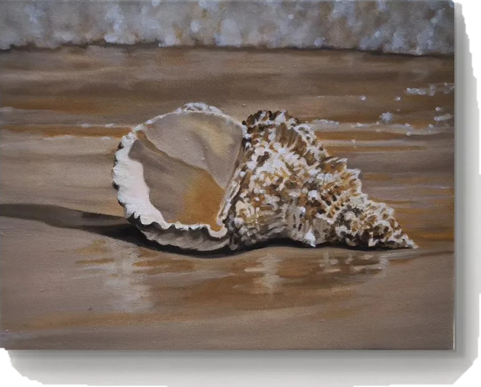 Раковина — картина маслом 24×30 см, ракушка на мокром песке