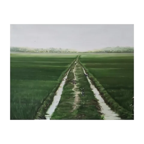 Рисовое поле